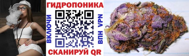 где продают   Каргат  KRAKEN как войти  Шишки марихуана ГИДРОПОН 
